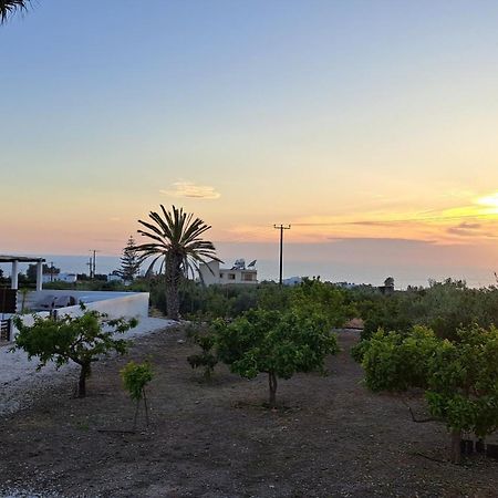 Nireas Villa Paphos Exterior foto